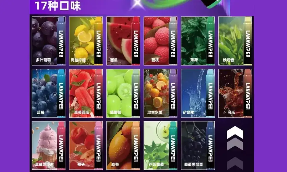 【藍莓】LANA ZOLT 拋棄式電子菸 8000puff大容量 可充電-1