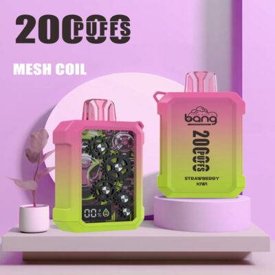 Bang Wheel 20000 Puffs|拋棄式電子煙 可充電超大容量霧化棒 歐美爆款-1